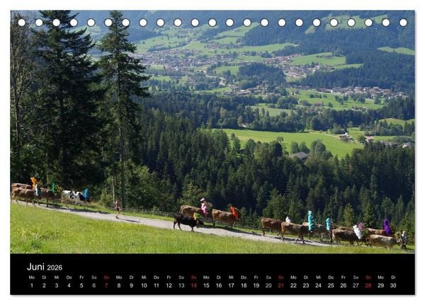Produktbild: Almabtrieb in Tirol (Tischkalender 2026 DIN A5 quer), CALVENDO Monatskalender