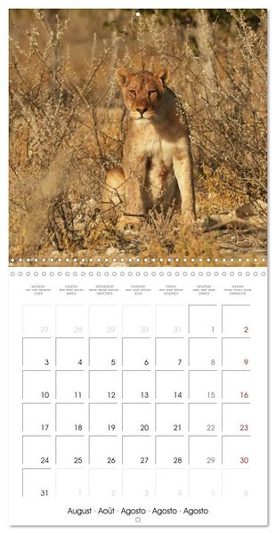 Produktbild: Namibian Adventure (Wall Calendar 2026 12 &times; 12 Inch) CALVENDO 12 Month Wall Calendar