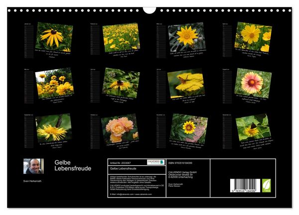 Produktbild: Gelbe Lebensfreude (Wandkalender 2026 DIN A3 quer), CALVENDO Monatskalender