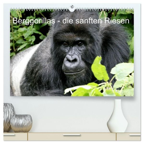 Produktbild: Berggorillas - die sanften Riesen (hochwertiger Premium Wandkalender 2027 DIN A2 quer), Kunstdruck in Hochglanz