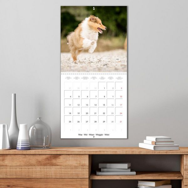 Produktbild: Lovely Collie 2026 (Wall Calendar 2026 12 &times; 12 Inch) CALVENDO 12 Month Wall Calendar