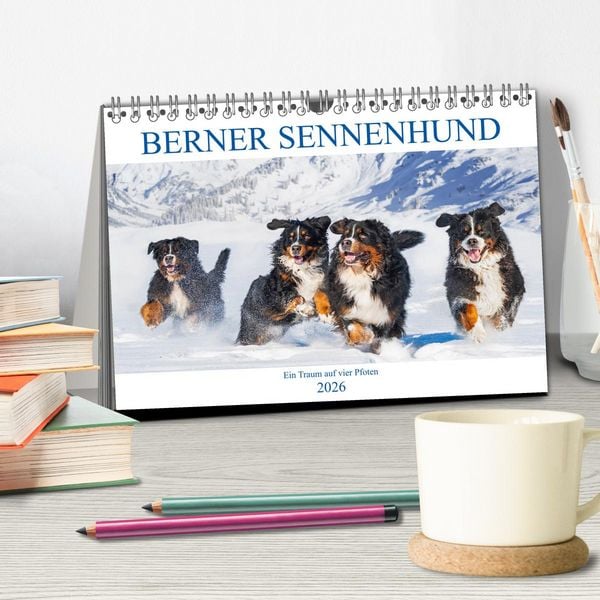 Produktbild: Berner Sennenhund - Ein Traum auf vier Pfoten (Tischkalender 2026 DIN A5 quer), CALVENDO Monatskalender