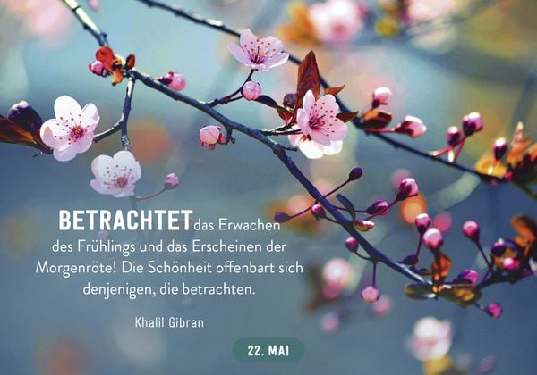 Produktbild: 365 gute W&uuml;nsche
