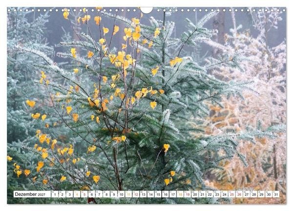 Produktbild: 12 Monate Natur (Wandkalender 2027 DIN A3 quer), CALVENDO Monatskalender