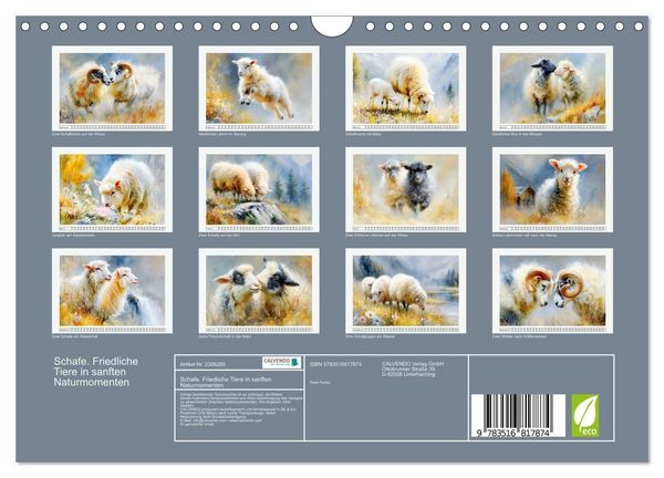 Produktbild: Schafe. Friedliche Tiere in sanften Naturmomenten (Wandkalender 2027 DIN A4 quer), CALVENDO Monatskalender