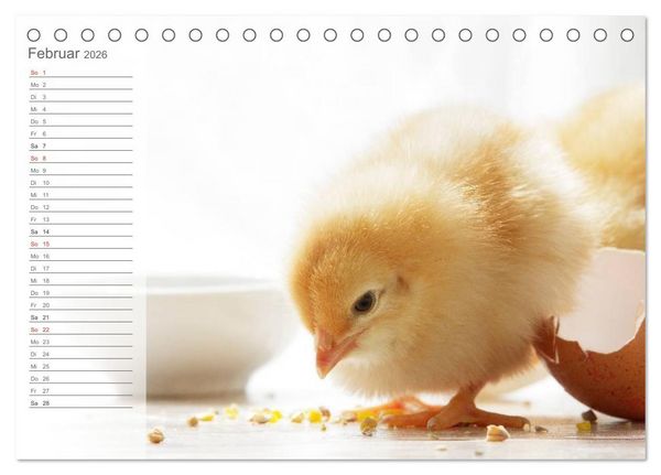 Produktbild: K&uuml;ken in der Kinderstube Terminplaner (Tischkalender 2026 DIN A5 quer), CALVENDO Monatskalender
