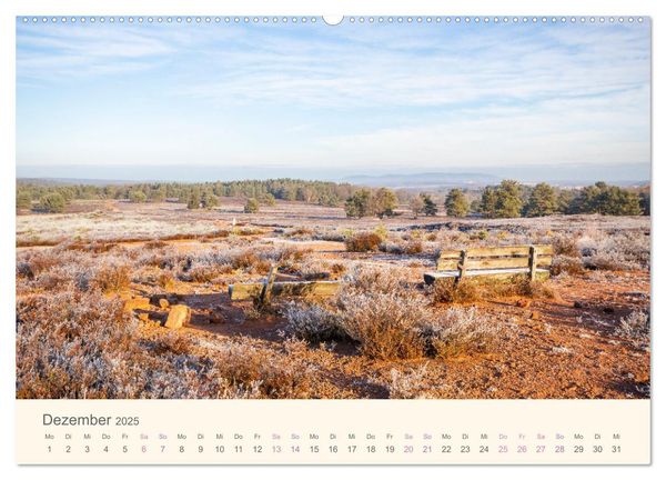 Mehlinger Heide (Wandkalender 2025 DIN A2 quer), CALVENDO Monatskalender