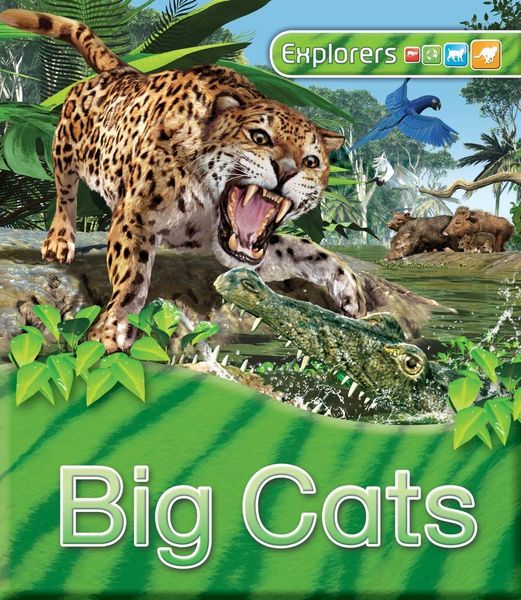Produktbild: Llewellyn, C: Explorers: Big Cats