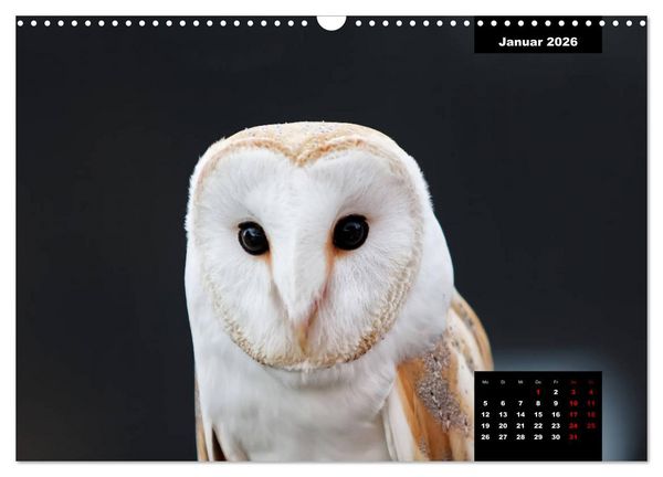 Produktbild: Greifv&ouml;gel - Herrscher der L&uuml;fte (Wandkalender 2026 DIN A3 quer), CALVENDO Monatskalender