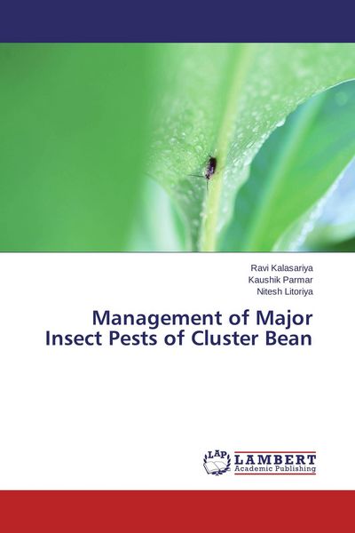 Produktbild: Management of Major Insect Pests of Cluster Bean