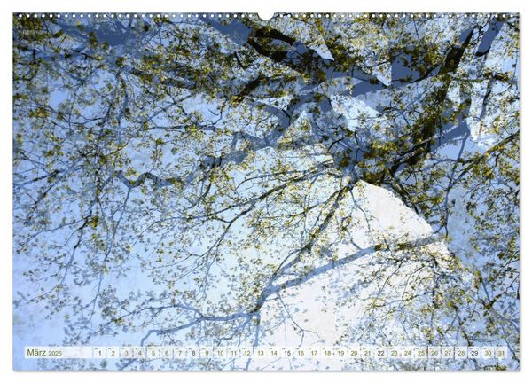 Produktbild: Vielfalt der B&auml;ume - variety of trees (hochwertiger Premium Wandkalender 2026 DIN A2 quer), Kunstdruck in Hochglanz