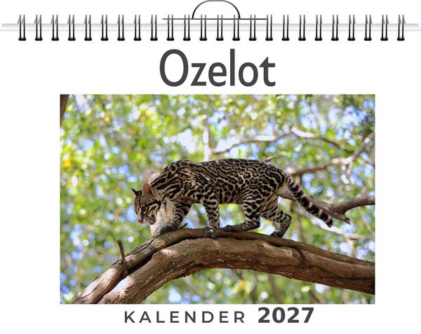 Produktbild: Ozelot