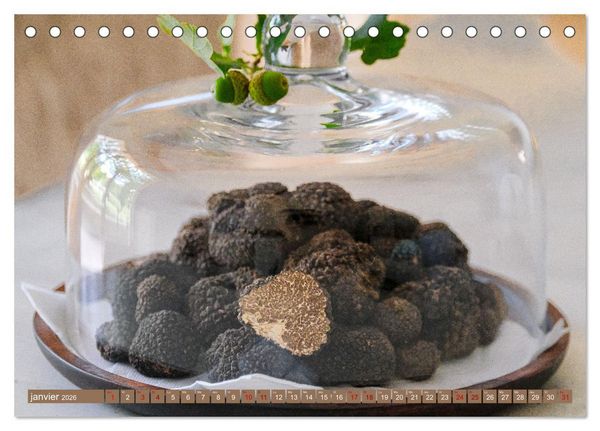 Produktbild: Tr&eacute;sors de truffes fran&ccedil;aises (Calendrier de bureau 2026 DIN A5 vertical), CALVENDO calendrier mensuel