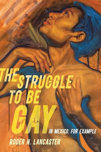 Produktbild: Lancaster, R: Struggle to Be Gay-in Mexico, for Example