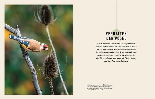 Produktbild: So locke ich V&ouml;gel in meinen Garten