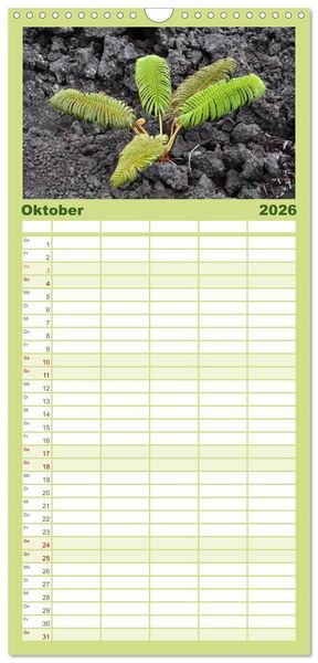 Produktbild: Familienplaner 2026 - Hawaii - Land of Aloha mit 5 Spalten (Wandkalender, 21 x 45 cm) CALVENDO