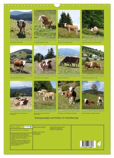 Produktbild: Schwarzwald und K&uuml;he im Hochformat (Wandkalender 2026 DIN A3 hoch), CALVENDO Monatskalender