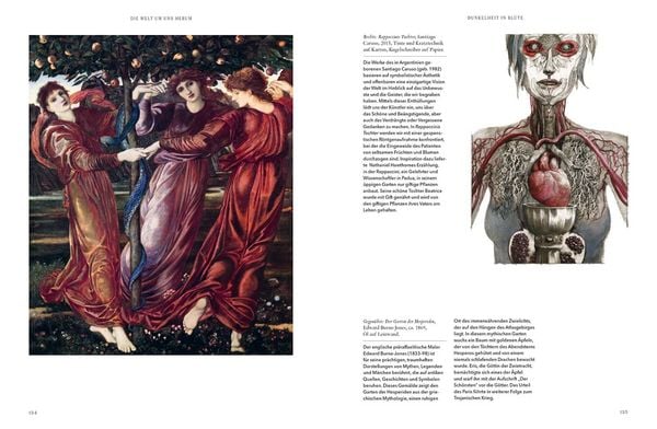 Produktbild: Die Kunst des Dunklen