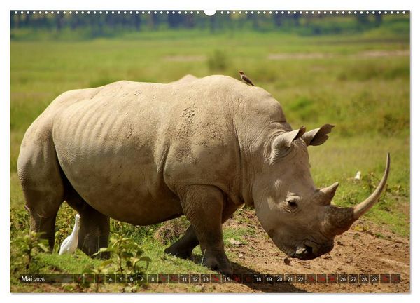 Produktbild: Afrika - Zauber der Wildnis (hochwertiger Premium Wandkalender 2026 DIN A2 quer), Kunstdruck in Hochglanz