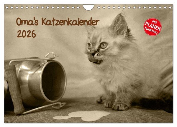 Oma's Katzenkalender 2026 (Wandkalender 2026 DIN A4 quer), CALVENDO Monatskalender