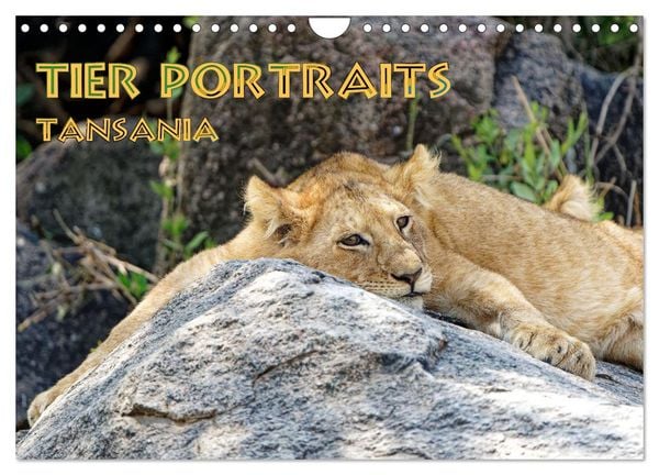 Produktbild: Tier Portraits Tansania (Wandkalender 2026 DIN A4 quer), CALVENDO Monatskalender