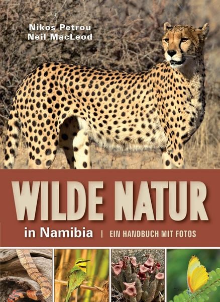 Produktbild: Wilde natur in Namibia