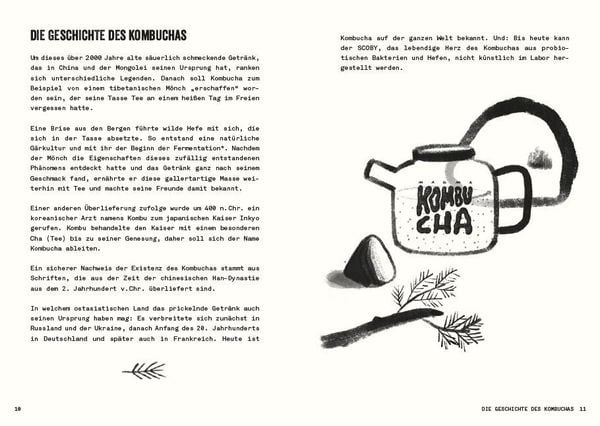 Produktbild: Kombucha do it yourself