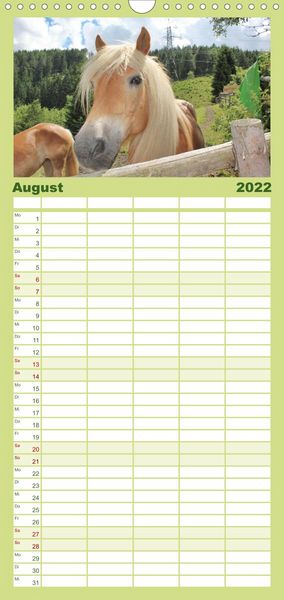 Produktbild: Familienplaner Alpenpferde (Wandkalender 2022 , 21 cm x 45 cm, hoch)