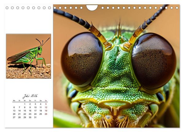 Produktbild: Facettenaugen - Meisterwerke der Natur (Wandkalender 2026 DIN A4 quer), CALVENDO Monatskalender
