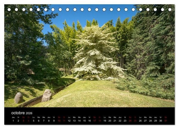 Produktbild: Nature sud de la France (Calendrier de bureau 2026 DIN A5 vertical), CALVENDO calendrier mensuel