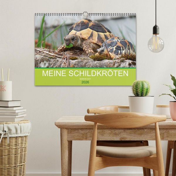 Produktbild: Meine Schildkr&ouml;ten (Wandkalender 2026 DIN A3 quer), CALVENDO Monatskalender