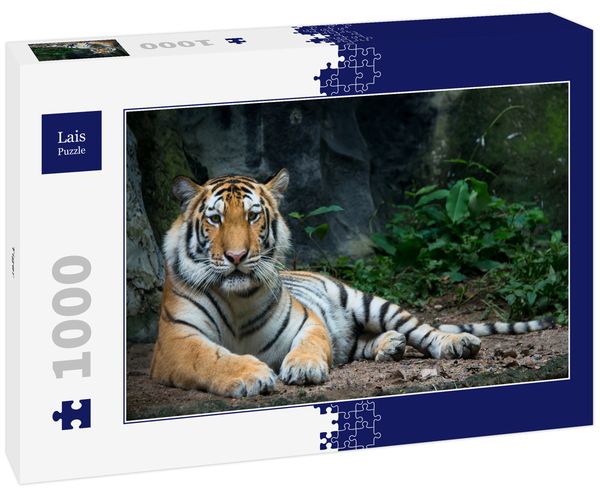 Produktbild: Lais Puzzle Tiger 1000 Teile