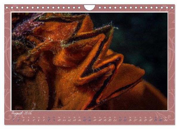 Produktbild: Unterwasser Kunstwerke (Wandkalender 2026 DIN A4 quer), CALVENDO Monatskalender