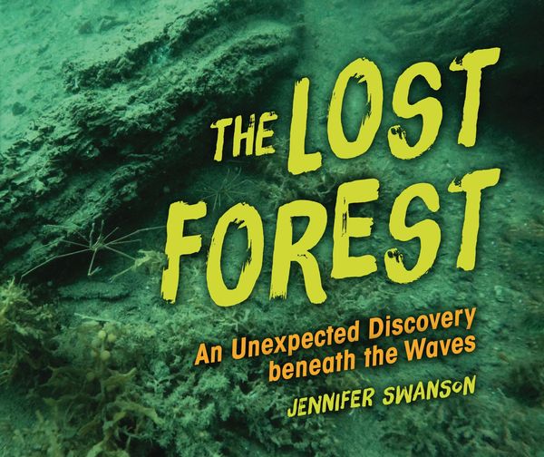 Produktbild: Lost Forest