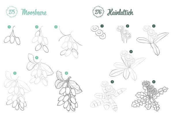 Produktbild: 300 Motive zeichnen &ndash; Botanik