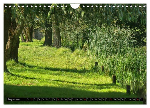 Produktbild: Brandenburg'sche Impressionen (Wandkalender 2026 DIN A4 quer), CALVENDO Monatskalender