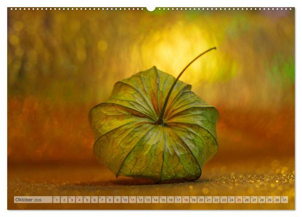 Produktbild: Kunstvolle Physalis-Kleine Frucht von gro&szlig;er Faszination (hochwertiger Premium Wandkalender 2026 DIN A2 quer), Kunstdruck in Hochglanz