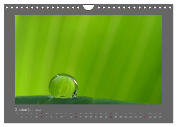 Produktbild: Kleine, gro&szlig;e Tropfenwelt (Wandkalender 2026 DIN A4 quer), CALVENDO Monatskalender
