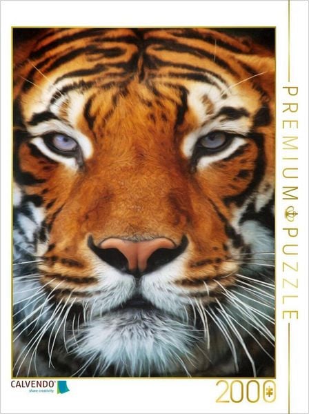 CALVENDO Puzzle Tiger Portrait | 2000 Teile Lege-Größe 90x67cm Foto-Puzzle für glückliche Stunden