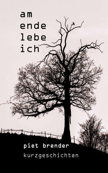 Produktbild: Am Ende lebe ich