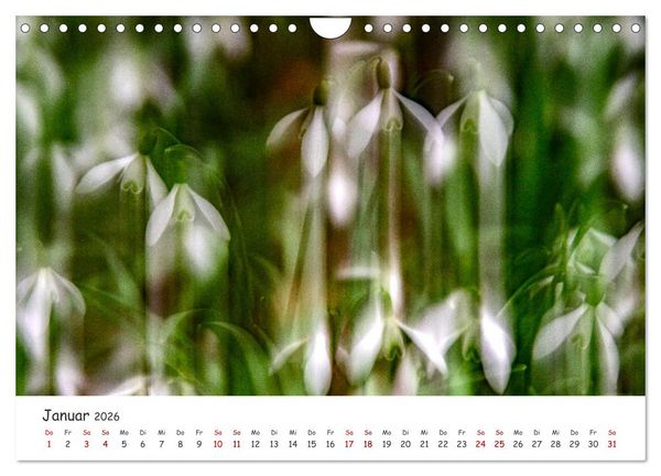 Produktbild: Abstrakte Naturerlebnisse - ICM (Intentional Camera Movement) Fotografie (Wandkalender 2026 DIN A4 quer), CALVENDO Monatskalender