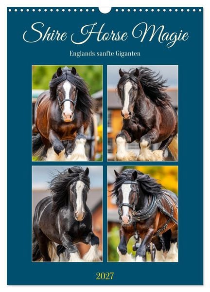 Produktbild: Shire Horse Magie. Englands sanfte Giganten (Wandkalender 2027 DIN A3 hoch), CALVENDO Monatskalender