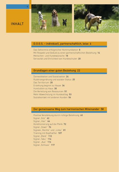 Produktbild: Hundetraining mit Martin R&uuml;tter