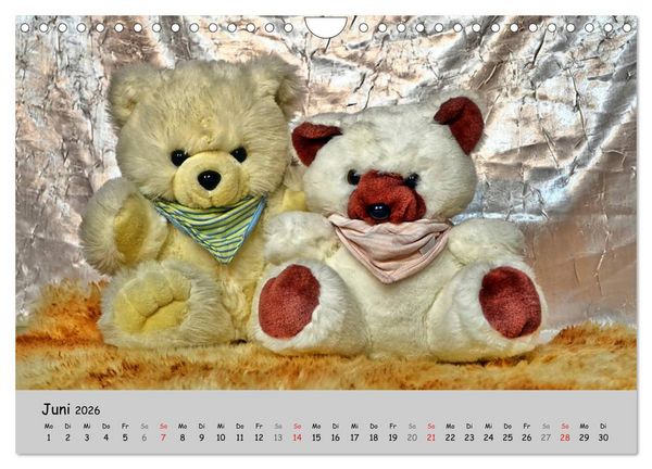 Produktbild: TEDDYB&Auml;R, OH TEDDYB&Auml;R... (Wandkalender 2026 DIN A4 quer), CALVENDO Monatskalender