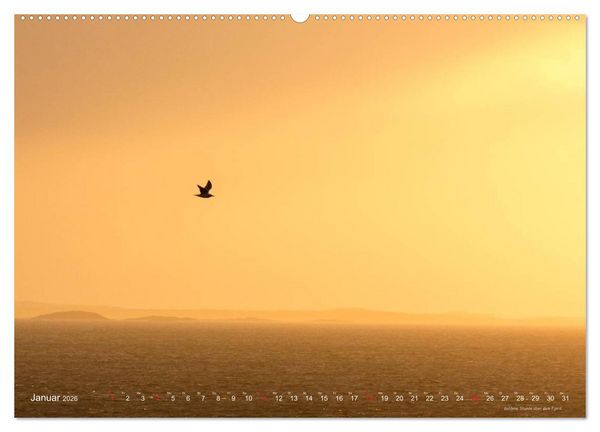 Produktbild: Hurtigruten im Winter - Hunting the light (Wandkalender 2026 DIN A2 quer), CALVENDO Monatskalender