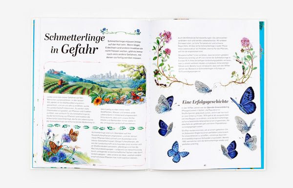 Produktbild: Schmetterlinge