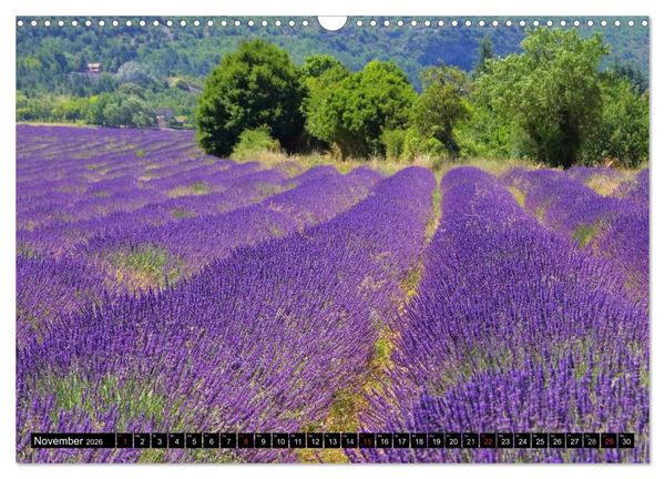 Produktbild: Lavendel (Wandkalender 2026 DIN A3 quer), CALVENDO Monatskalender