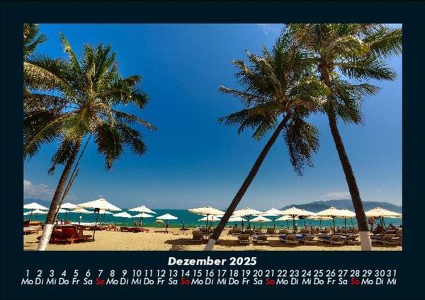 Produktbild: Palmen 2025 Fotokalender DIN A5