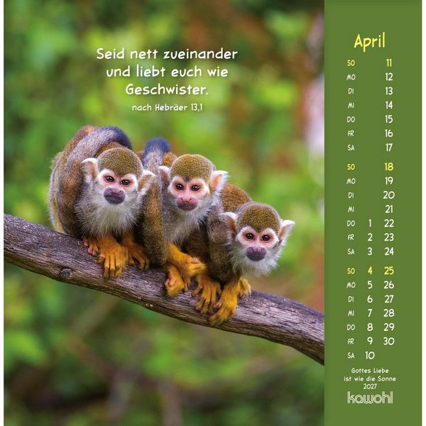 Produktbild: Gottes Liebe ist wie die Sonne 2027