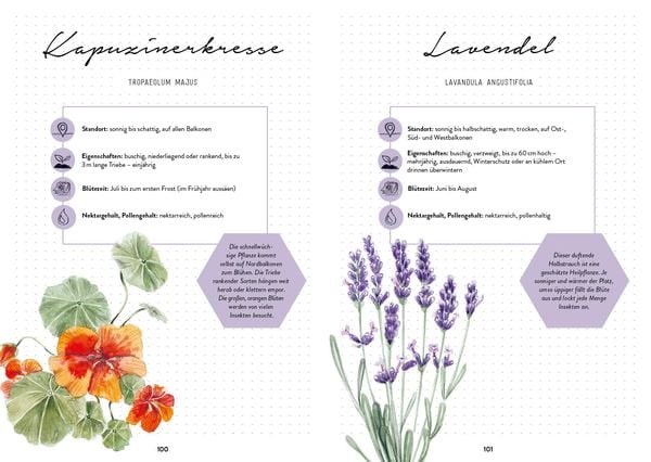 Produktbild: Bienengl&uuml;ck im Garten &ndash; Das illustrierte Gartenbuch